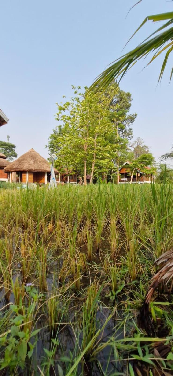 Bolaven Garden Bungalow And Tent - Tad Lo Ban Kiangtat Bagian luar foto