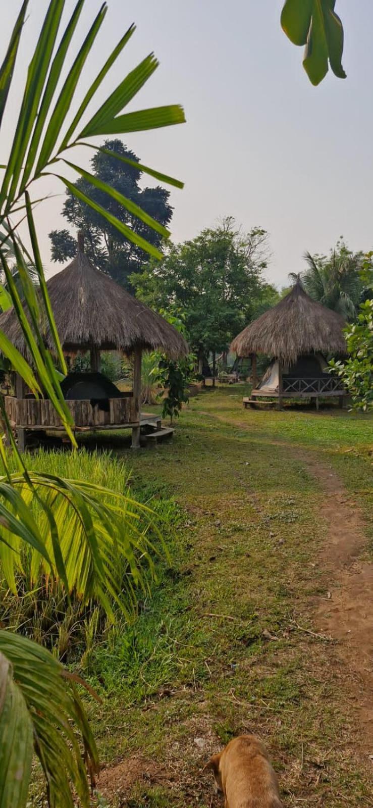 Bolaven Garden Bungalow And Tent - Tad Lo Ban Kiangtat Bagian luar foto