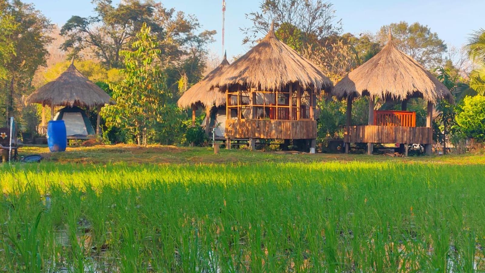 Bolaven Garden Bungalow And Tent - Tad Lo Ban Kiangtat Bagian luar foto